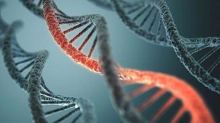 MicroTalks - Conferències de Microbiologia: Virus endògens humans